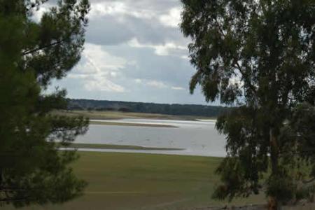 Imagen Cola del pantano de Borbollón